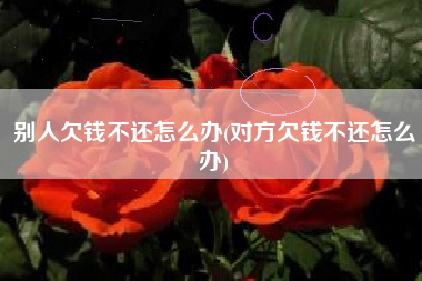 别人欠钱不还怎么办(对方欠钱不还怎么办)