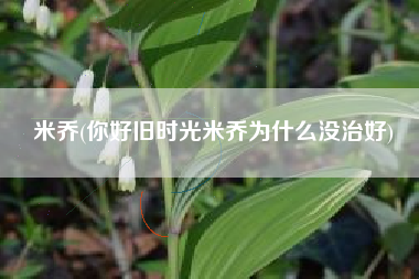 米乔(你好旧时光米乔为什么没治好)
