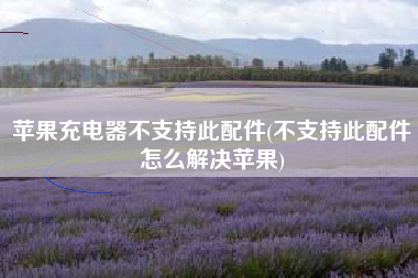 苹果充电器不支持此配件(不支持此配件怎么解决苹果)