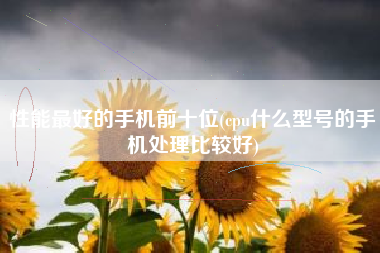 性能最好的手机前十位(cpu什么型号的手机处理比较好)