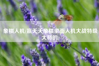 象棋人机(赢天天象棋里面人机大战特级大师的)