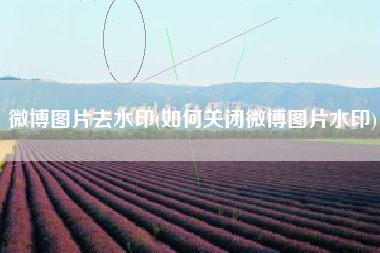 微博图片去水印(如何关闭微博图片水印)