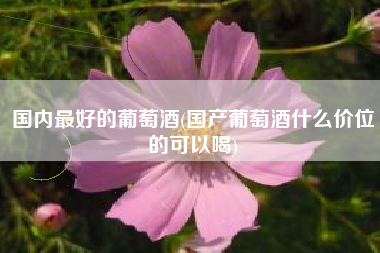 国内最好的葡萄酒(国产葡萄酒什么价位的可以喝)
