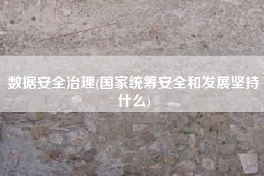 数据安全治理(国家统筹安全和发展坚持什么)