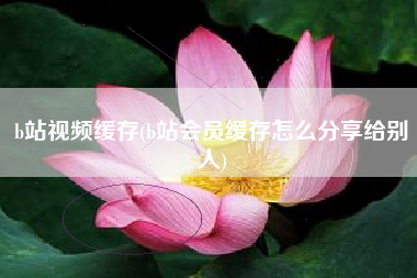 b站视频缓存(b站会员缓存怎么分享给别人)