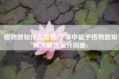 格物致知什么意思(丁肇中赋予格物致知两大新含义分别是)