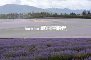 hurt(hurt歌曲演唱者)