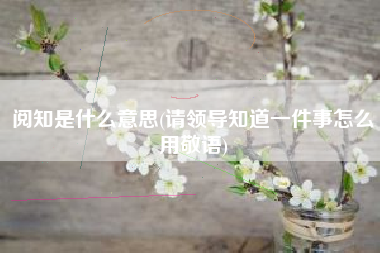 阅知是什么意思(请领导知道一件事怎么用敬语)