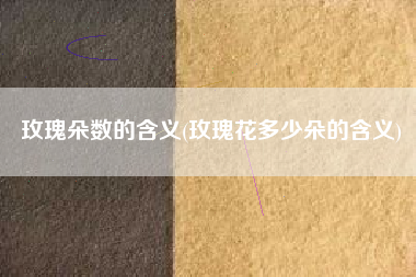玫瑰朵数的含义(玫瑰花多少朵的含义)