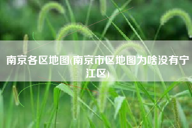 南京各区地图(南京市区地图为啥没有宁江区)