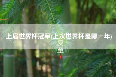 上届世界杯冠军(上次世界杯是哪一年)