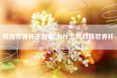 韩国世界杯主题曲(为什么叫日韩世界杯)