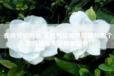 在线资源网站(手机在线看电影视频哪个软件资源多清晰更新快)