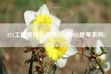 211工程是什么意思(211和985是零表吗)