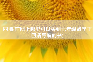 四清(在网上哪里可以买到七年级数学下四清导航的书)