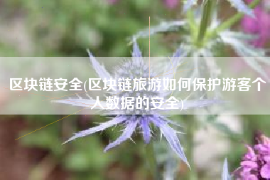 区块链安全(区块链旅游如何保护游客个人数据的安全)