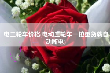 电三轮车价格(电动三轮车一拉重货就自动断电)