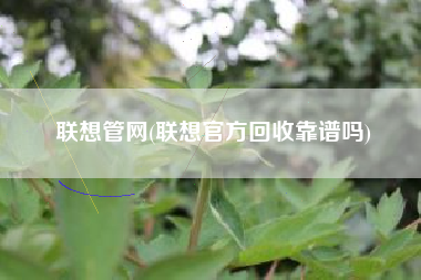 联想管网(联想官方回收靠谱吗)