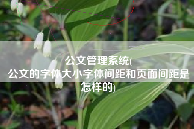 公文管理系统(
公文的字体大小字体间距和页面间距是怎样的) 公文管理系统(
公文的字体大小字体间距和页面间距是怎样的)