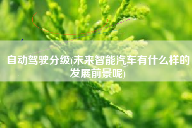 自动驾驶分级(未来智能汽车有什么样的发展前景呢)