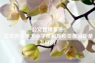 公文管理系统(
公文的字体大小字体间距和页面间距是怎样的) 公文管理系统(
公文的字体大小字体间距和页面间距是怎样的)