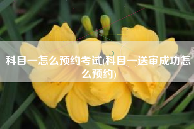 科目一怎么预约考试(科目一送审成功怎么预约)