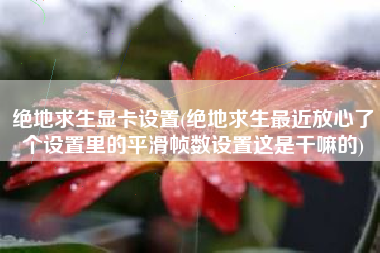 绝地求生显卡设置(绝地求生最近放心了个设置里的平滑帧数设置这是干嘛的)
