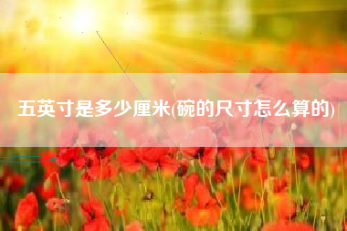 五英寸是多少厘米(碗的尺寸怎么算的)