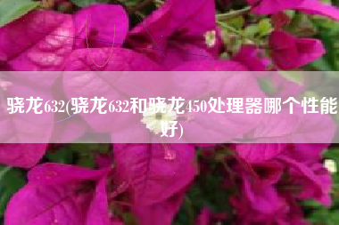 骁龙632(骁龙632和骁龙450处理器哪个性能好)