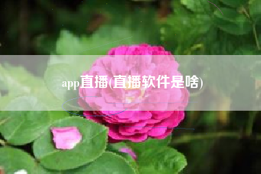 app直播(直播软件是啥)