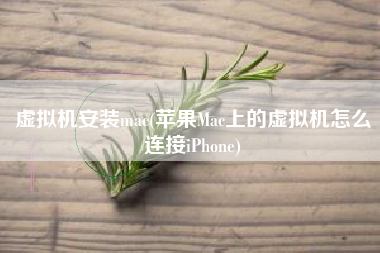 虚拟机安装mac(苹果Mac上的虚拟机怎么连接iPhone)