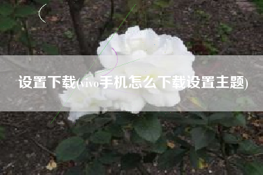 设置下载(vivo手机怎么下载设置主题)