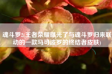 详细阅读:魂斗罗2(王者荣耀曝光了与魂斗罗归来联动的一款马可波罗的终结者皮肤) 魂斗罗2(王者荣耀曝光了与魂斗罗归来联动的一款马可波罗的终结者皮肤)