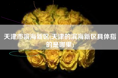 天津市滨海新区(天津的滨海新区具体指的是哪里)