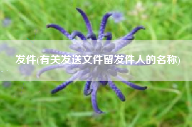 发件(有关发送文件留发件人的名称)