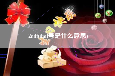 2ndf(dmf号是什么意思)