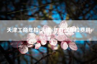 天津工商年检(天津6年首次年检费用)
