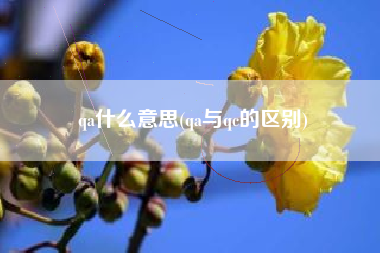 qa什么意思(qa与qc的区别)
