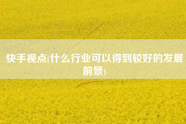快手视点(什么行业可以得到较好的发展前景)