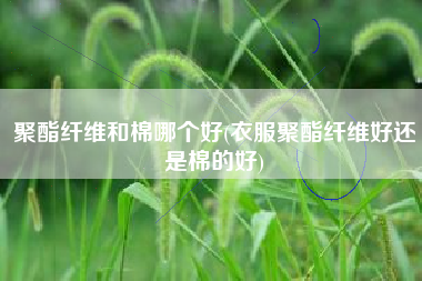 聚酯纤维和棉哪个好(衣服聚酯纤维好还是棉的好)
