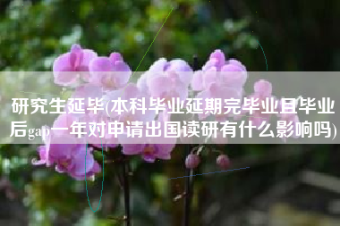 研究生延毕(本科毕业延期完毕业且毕业后gap一年对申请出国读研有什么影响吗)