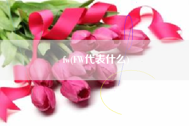 fw(FW代表什么)