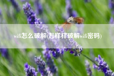 wifi怎么破解(怎样样破解wifi密码)