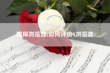 嗅探浏览器(如何评价X浏览器)