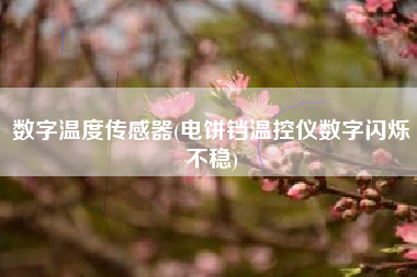 数字温度传感器(电饼铛温控仪数字闪烁不稳)