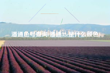 详细阅读:潘通色号查询(潘通32c是什么颜色) 潘通色号查询(潘通32c是什么颜色)