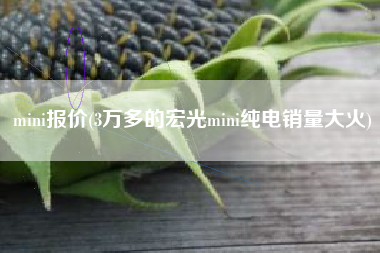 mini报价(3万多的宏光mini纯电销量大火)
