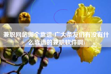 兼职网站哪个靠谱(广大条友们有没有什么靠谱的兼职软件啊)