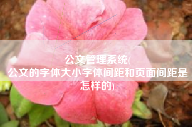公文管理系统(
公文的字体大小字体间距和页面间距是怎样的) 公文管理系统(
公文的字体大小字体间距和页面间距是怎样的)
