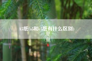 A5纸(a5和c5纸有什么区别)